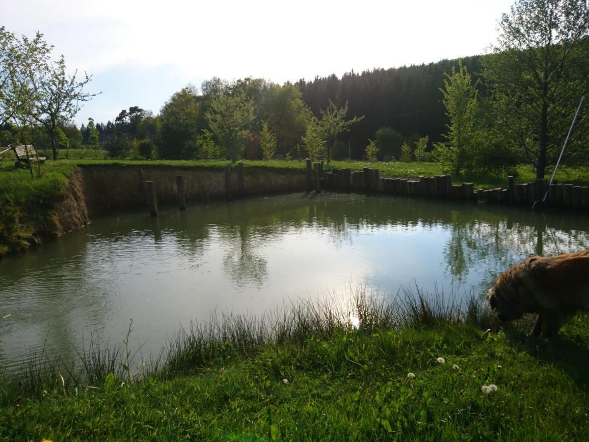 Ferienwohnung Hohe Acht Kaltenborn (Rhineland-Palatinate) Exterior foto