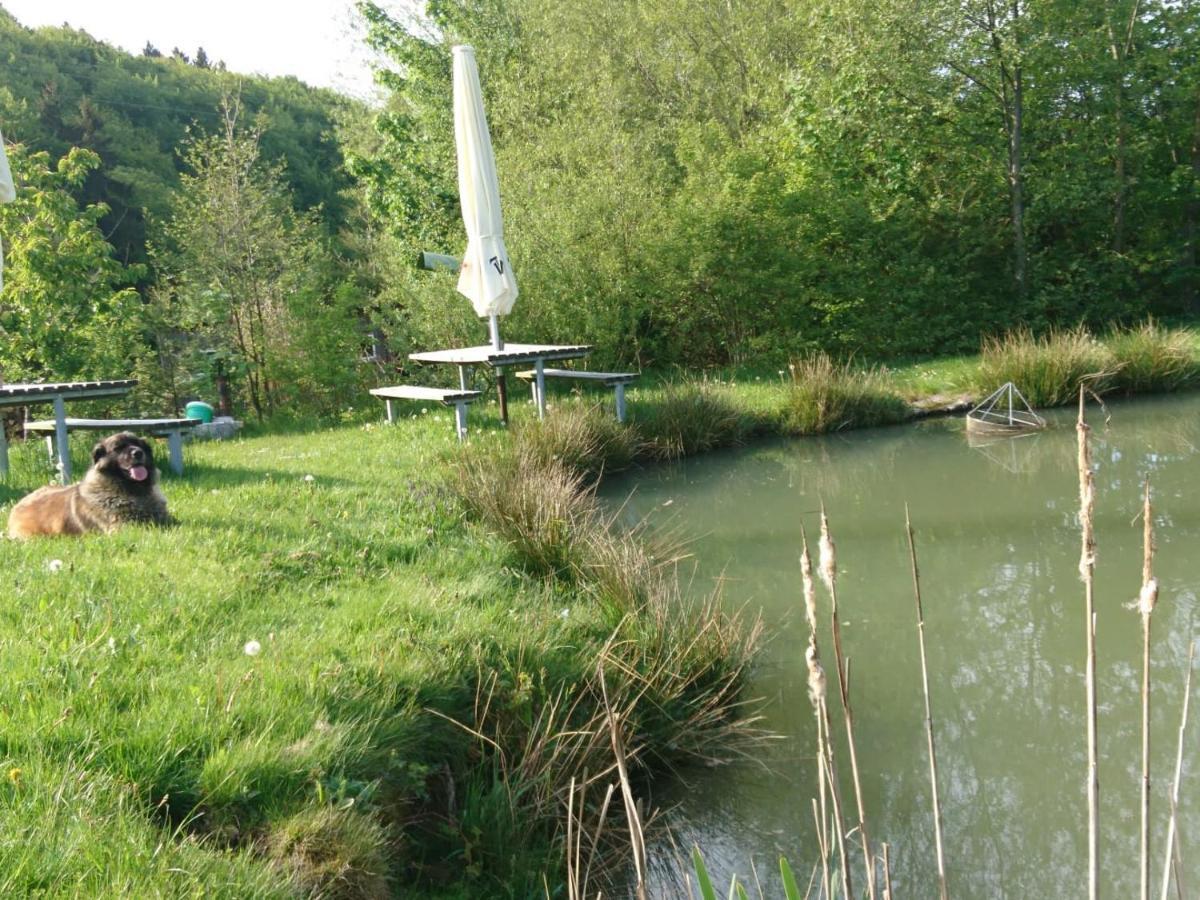Ferienwohnung Hohe Acht Kaltenborn (Rhineland-Palatinate) Exterior foto